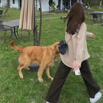 团子大家族 第二季